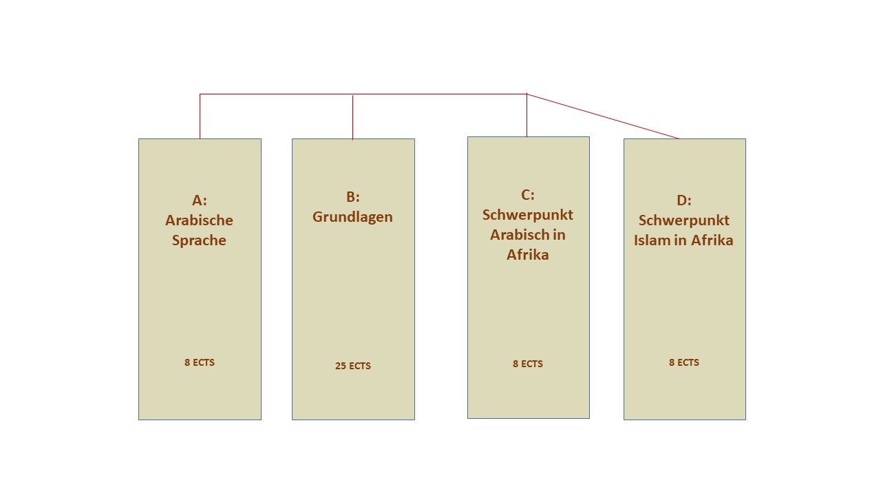 Aufbau Kombinationsfach Arabische und islamische Sprach- und Kulturstudien