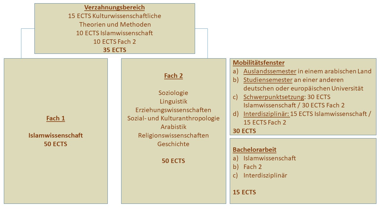 Aufbau Islamwissenschaft im Bachelorstudiengang Kultur und Gesellschaft